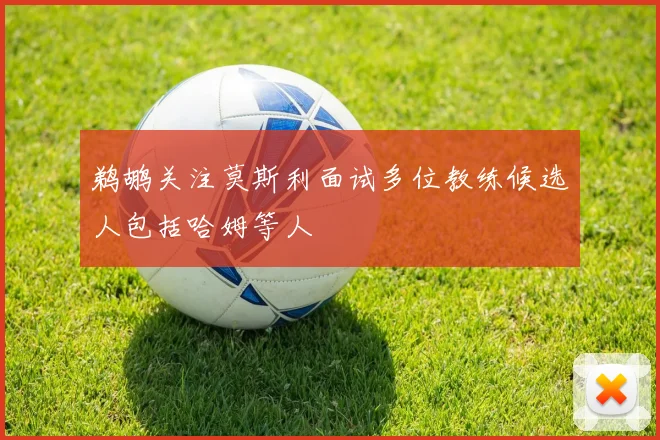 鹈鹕关注莫斯利面试多位教练候选人包括哈姆等人